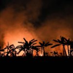Uno scatto di parte degli incendi che sono divampati in Amazzonia durante lo scorso agosto, provocando la perdita di 1698 chilometri quadrati