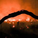 Un dettaglio degli incendi che hanno distrutto 1.698 chilometri quadrati dell'Amazzonia