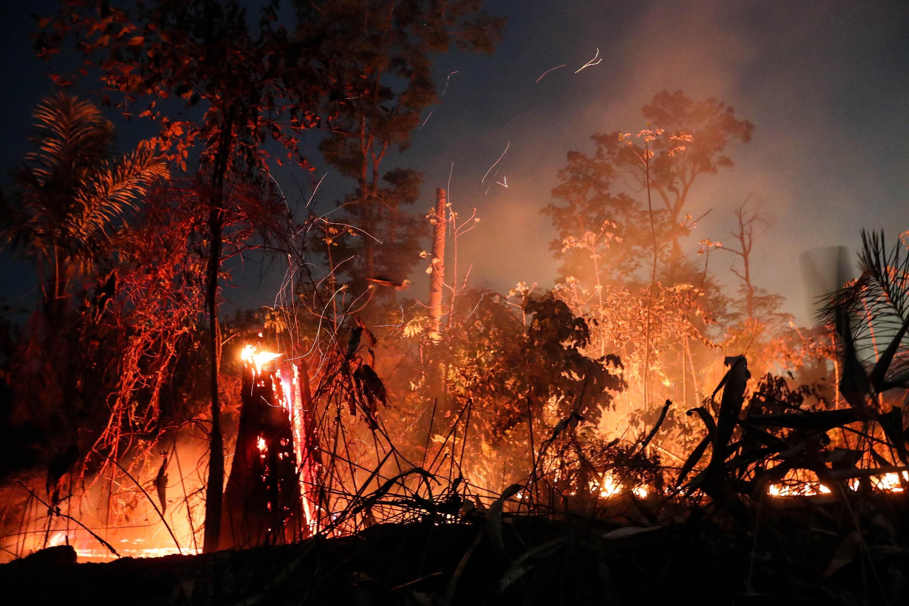 L' Amazzonia, a causa degli incendi dello scorso agosto ha perso un'area del 222% superiore a quella disboscata nello stesso mese del 2018 (526 quadrati chilometri), secondo i dati diffusi dal National Space Research Institute (INPE) del Brasile